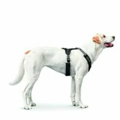 HUNTER Hondentuig Maldon - Zwart/Grijs -Hunter Verkoop 2024 100413 hunter geschirr maldon hs 01 2