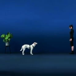 HUNTER Hondentuig Maldon - Zwart/Grijs -Hunter Verkoop 2024 100413 hunter geschirr maldon hs 03 2