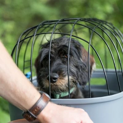 Trixie Friends On Tour Fietsmand Voor Bagagedrager 15 Trixie Friends On Tour Fietsmand Voor Bagagedrager - Afbeelding 13