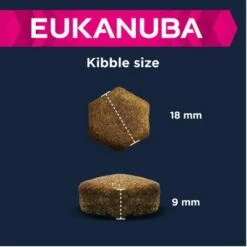 Eukanuba Adult Large Breed Lam & Rijst Hondenvoer 8 Eukanuba Adult Large Breed Lam & Rijst Hondenvoer -Hunter Verkoop 2024 135797 eukanuba adult large breed lamm reis kibble 4 2