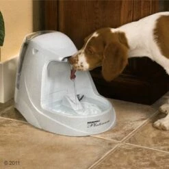 PetSafe® Drinkwell® Platinum Drinkfontein -Hunter Verkoop 2024 136298 schulze drinkwell platinum mithund 06 2011 2