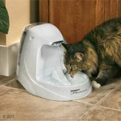 PetSafe® Drinkwell® Platinum Drinkfontein -Hunter Verkoop 2024 136298 schulze drinkwell platinum mitkatze 06 2011 7