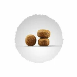 Josera Balance Hondenvoer 9 Josera Balance Hondenvoer -Hunter Verkoop 2024 13685 josera balance kroket 8