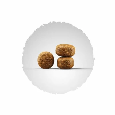 Josera Balance Hondenvoer 6 Josera Balance Hondenvoer - Afbeelding 4