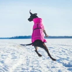 Rukka® Warmup Hondenjas - Roze -Hunter Verkoop 2024 139904 lfashion rukka warmup hundemantel hotpink 38cm hs 04 1