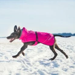 Rukka® Warmup Hondenjas - Roze -Hunter Verkoop 2024 139904 lfashion rukka warmup hundemantel hotpink 38cm hs 05 4