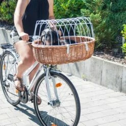 Aumüller Hondenfietsmand Met Beschermende Tralies 35 Aumüller Hondenfietsmand Met Beschermende Tralies -Hunter Verkoop 2024 1418 aumualler fahrradkorb schutzgitter hunde hs 10 8