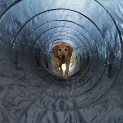 Trixie Agility Tunnel -Hunter Verkoop 2024 15686 trixie agility tunnel fg 16 7
