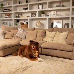 Pet Head Ditch The Dirt Shampoo 12 Pet Head Ditch The Dirt Shampoo -Hunter Verkoop 2024 159700 companyofanimals pethead ditchthedirt shampoo 300ml hs 06 9