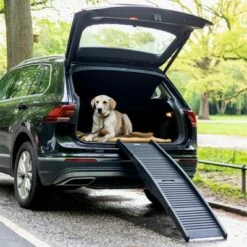 HAFENBANDE Loopplank Champ -Hunter Verkoop 2024 160296 hafenbande champ o hs15 6