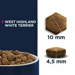 Eukanuba Breed Specific West Highland White Terriër Hondenvoer -Hunter Verkoop 2024 170000 tetragmbhiams eukanuba adult breedspecific westhighland whiteterrier 2 5kg hs 05 6
