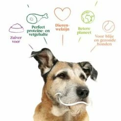 Yarrah Bio Senior Kip Hondenvoer -Hunter Verkoop 2024 17062 dog dry yarrah senior 2kg 8714265000331 2 1