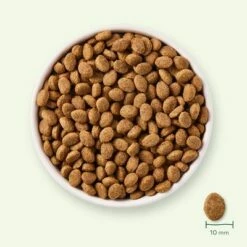 Yarrah Bio Senior Kip Hondenvoer -Hunter Verkoop 2024 17062 dog dry yarrah senior 2kg 8714265000331 7 9