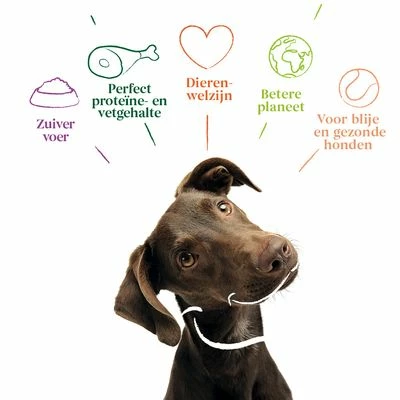 Yarrah Bio Graanvrij Met Biologische Kip Hondenvoer 4 Yarrah Bio Graanvrij Met Biologische Kip Hondenvoer - Afbeelding 2