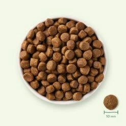 Yarrah Bio Graanvrij Met Biologische Kip Hondenvoer 16 Yarrah Bio Graanvrij Met Biologische Kip Hondenvoer -Hunter Verkoop 2024 17064 dog dry yarrah grain free 2kg 8714265000287 7 4