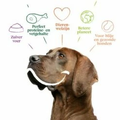 Yarrah Bio Sensitive Met Biologische Kip & Biologische Rijst Hondenvoer -Hunter Verkoop 2024 17068 dog dry yarrah sensitive 2kg 8714265000362 2 4