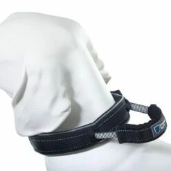 ArmoredTech Dog Control Halsband Zwart -Hunter Verkoop 2024 173096 173097 173098 asaquaristik dogcontrol halsband schwarz hs 03 4