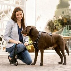 Curli Verstelbare Hondenlijn Nylon Zwart -Hunter Verkoop 2024 177008 curli verstellbare leine nylon schwarz hs 03 8