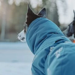 Hurtta Bare Winterjas Storm -Hunter Verkoop 2024 186541 188196 188197 188198 188199 188200 188201 hurtta zooplus bare winterjacke storm hs 08 6