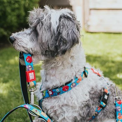 Max & Molly H-Tuig Little Monsters 9 Max & Molly H-Tuig Little Monsters - Afbeelding 7