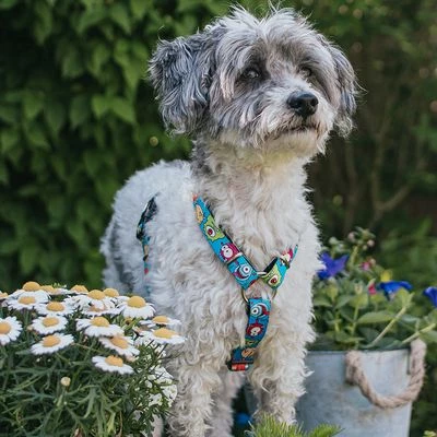 Max & Molly H-Tuig Little Monsters 4 Max & Molly H-Tuig Little Monsters - Afbeelding 2