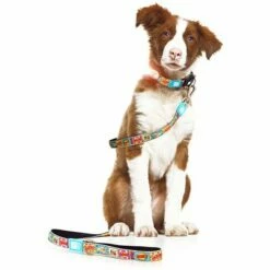 Max & Molly Korte Lijn Comic -Hunter Verkoop 2024 186587 maxnmolly kurzleine comic hs 03 2