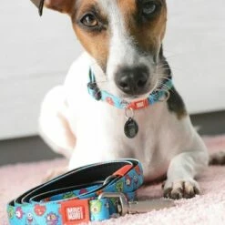 Max & Molly Korte Lijn Little Monsters 12 Max & Molly Korte Lijn Little Monsters -Hunter Verkoop 2024 189596 maxnmolly kurzleine little monsters dog hs 02 6