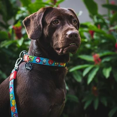 Max & Molly Korte Lijn Little Monsters 4 Max & Molly Korte Lijn Little Monsters - Afbeelding 2