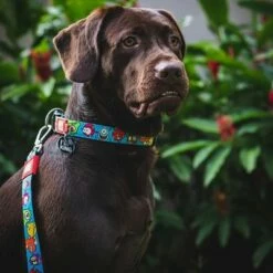 Max & Molly Multifunctionele Lijn Little Monsters -Hunter Verkoop 2024 189696 186582 189796 maxnmolly multifunktionsleine littlemonsters dog hs 02 7