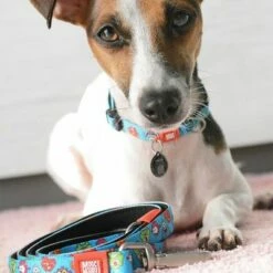 Max & Molly Multifunctionele Lijn Little Monsters -Hunter Verkoop 2024 189696 186582 189796 maxnmolly multifunktionsleine littlemonsters dog hs 05 0