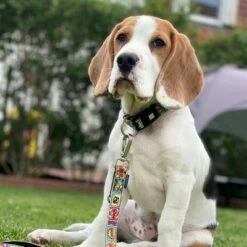 Max & Molly Multifunctionele Lijn Comic -Hunter Verkoop 2024 189996 186588 189998 maxnmolly multifunktionsleine comic hs 02 3