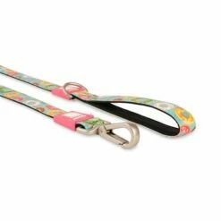 Max & Molly Korte Lijn Donuts -Hunter Verkoop 2024 190208 maxnmolly kurzleine donuts hs 05 8