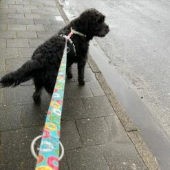 Max & Molly H-Tuig Donuts -Hunter Verkoop 2024 190296 190297 190396 maxnmolly hg eschirr donuts hs 05 6