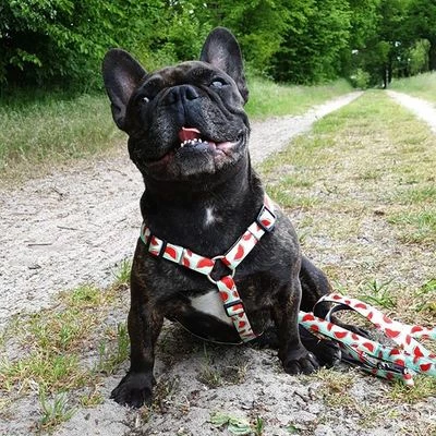 Max & Molly H-Tuig Watermelon 11 Max & Molly H-Tuig Watermelon - Afbeelding 9