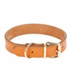 Heim Lederen Halsband Buffalo