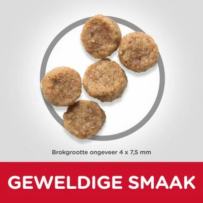 Hill's Science Plan Mature Adult Small & Mini Met Kip 5 Hill's Science Plan Mature Adult Small & Mini Met Kip - Afbeelding 3