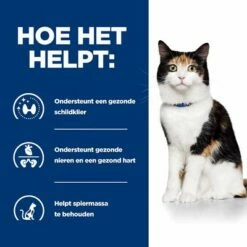 Hill´s Prescription Diet Feline Y/D Schildklierproblemen Kattenvoer Original -Hunter Verkoop 2024 1 atf 605627 how it helps 2