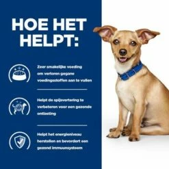 Hill's Prescription Diet I/d Digestive Care Stoofpotje Met Kip Voor Honden 21 Hill's Prescription Diet I/d Digestive Care Stoofpotje Met Kip Voor Honden -Hunter Verkoop 2024 1 atf 606353 how it helps 4