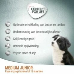 Concept For Life Medium Junior Hondenvoer -Hunter Verkoop 2024 1 cfl board dog mediumjunior 5