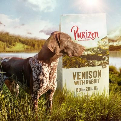 Purizon Wild Met Konijn Adult - Graanvrij Hondenvoer 4 Purizon Wild Met Konijn Adult - Graanvrij Hondenvoer - Afbeelding 2