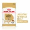 Royal Canin Breed Labrador Retriever Adult Hondenvoer In Saus 2 Royal Canin Breed Labrador Retriever Adult Hondenvoer In Saus -Hunter Verkoop 2024 1 rc spt wet labad mv 1 nl nl 6