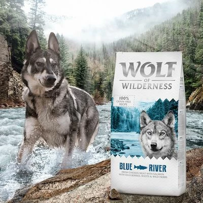 Wolf Of Wilderness "Blue River" Met Zalm Hondenvoer 8 Wolf Of Wilderness "Blue River" Met Zalm Hondenvoer - Afbeelding 6