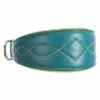 Trixie Active Comfort Halsband Voor Windhonden, Petrol/Geel -Hunter Verkoop 2024 200314 trixie active comfort halsband windhunde hs 02 5
