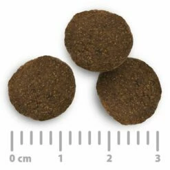 Purizon Wild Met Konijn Adult - Graanvrij Hondenvoer 13 Purizon Wild Met Konijn Adult - Graanvrij Hondenvoer -Hunter Verkoop 2024 2020 08 purizon food size 1000x1000 int 9 1