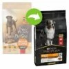 Pro Plan Duo Délice Rund & Rijst Hondenvoer 2 Pro Plan Duo Délice Rund & Rijst Hondenvoer -Hunter Verkoop 2024 203703 purina proplan duo delice rindreis 10kg hs 02 5