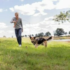 Trixie Triggerhengel Voor Honden -Hunter Verkoop 2024 209093 trixie reizangel hs 08 7