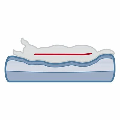 Trixie Vital Bank Bendson 14 Trixie Vital Bank Bendson - Afbeelding 12