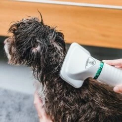 Trixie Heteluchtborstel -Hunter Verkoop 2024 212217 trixie warmluftbuerste 300w hs 18 5