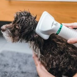 Trixie Heteluchtborstel -Hunter Verkoop 2024 212217 trixie warmluftbuerste 300w hs 19 8