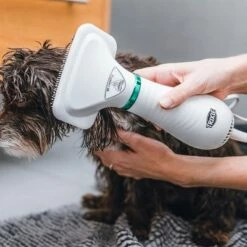 Trixie Heteluchtborstel -Hunter Verkoop 2024 212217 trixie warmluftbuerste 300w hs 20 5